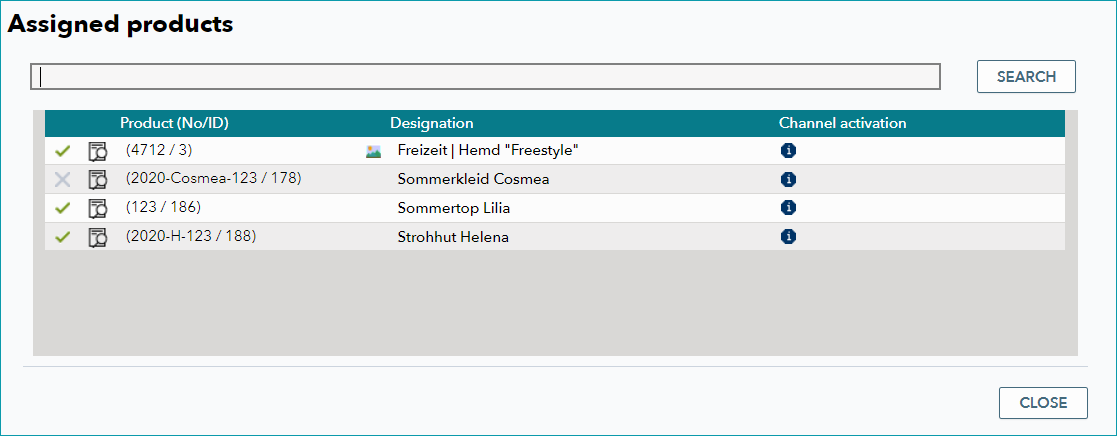 Wertezuordnung_Lupe_EN